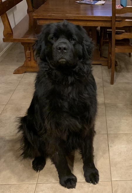Tucker
