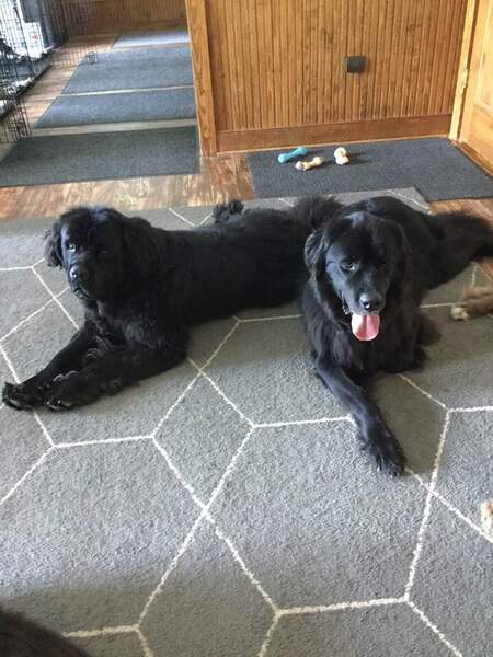 Nellie and Belushi