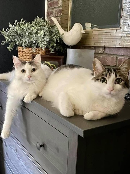 Mercury and Melina