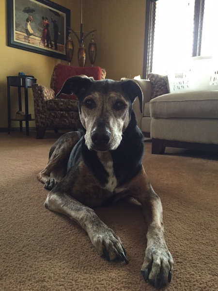 Sampson