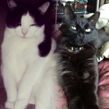 Milly & Rex