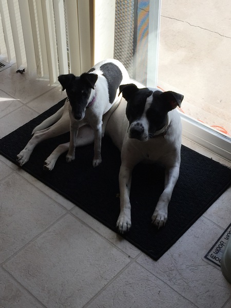 Molly and Jordy