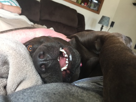 Zoey 