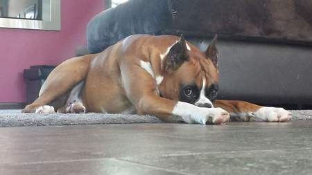 Tyson