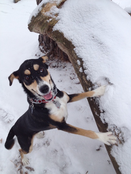Zoey