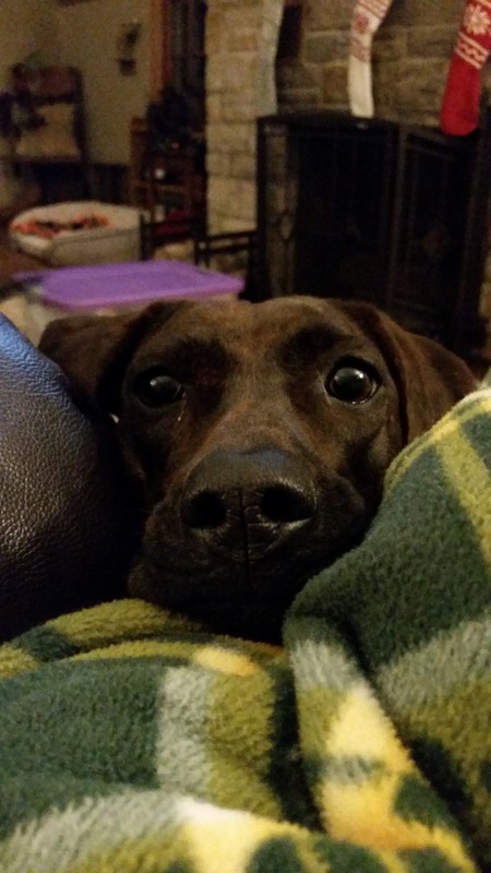 Mika