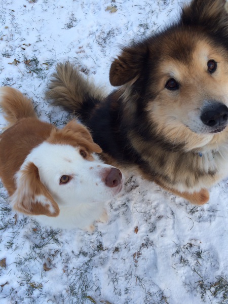 Jack and Jillian