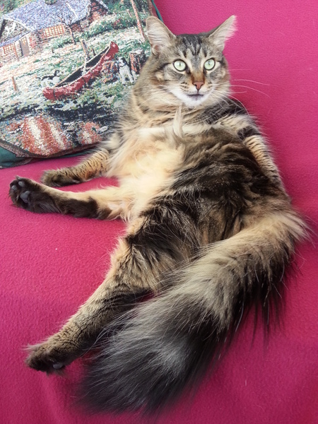 Kiara