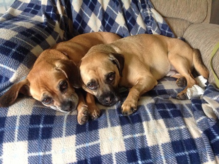 Maggie and Toby Nackers
