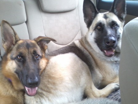 Molly & Jada