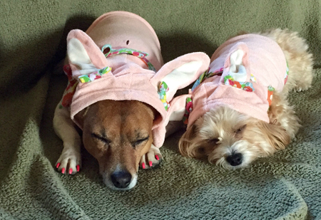 Bella & Ginger