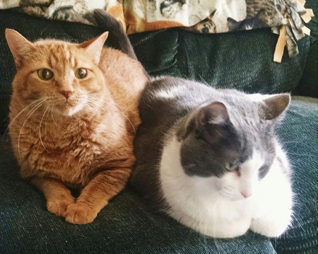 Timmy and Frank