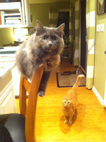 LuLu and Spike