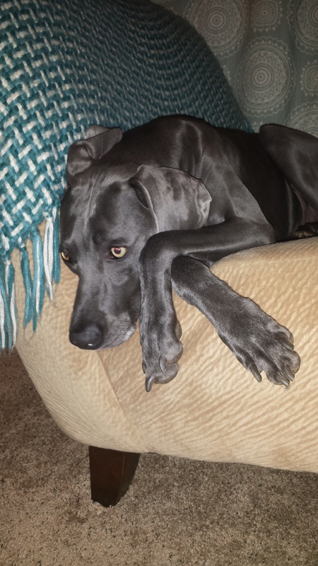 Zoey