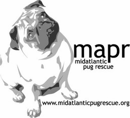 Logo for 2022 Mid Atlantic Pug Rescue Calendar Contest