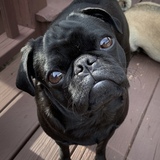 Entry image for Cooper 