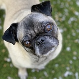 Entry image for Maggie 