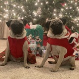 Entry image for Frank and Tootie