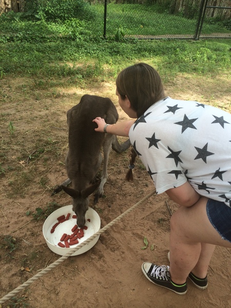 Meeting Mickey the Kangaroo