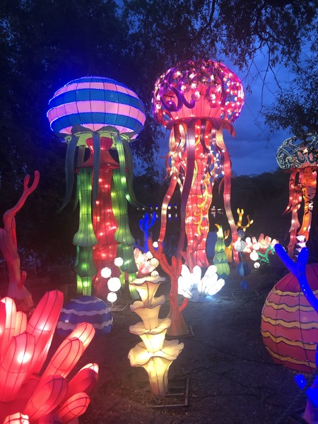 Under the sea lanterns