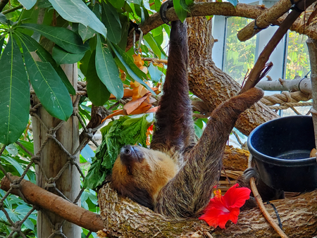 Brew at the Zoo - Hangin out