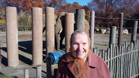 Momma and the Elephants