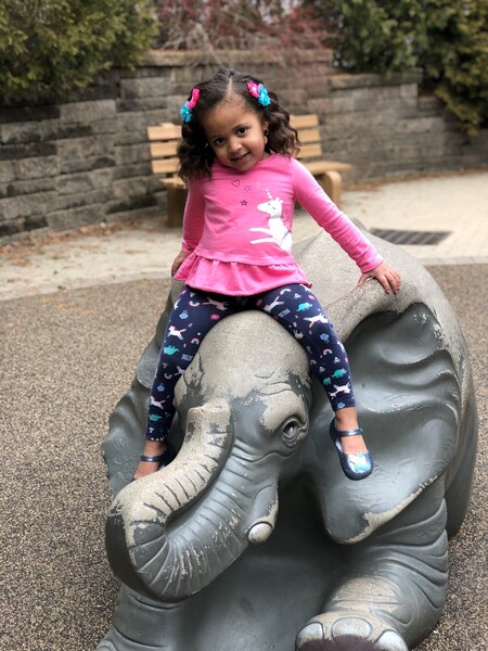 Mom, can I ride a REAL Elephant next time? 