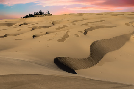 John Dellenback Dunes Trail