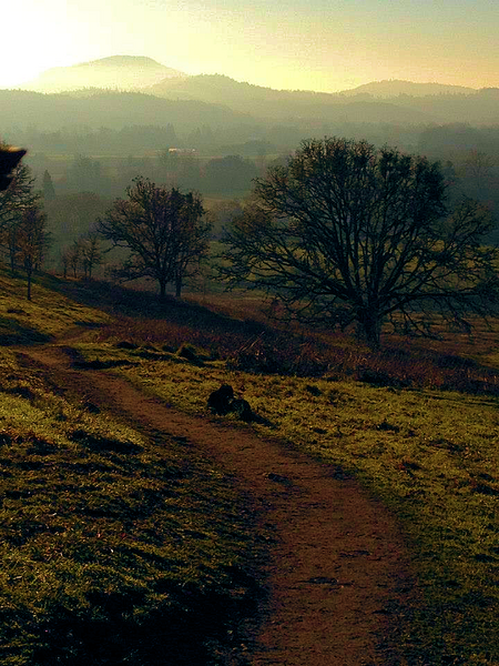 Mount Pisgah Trail - Fall