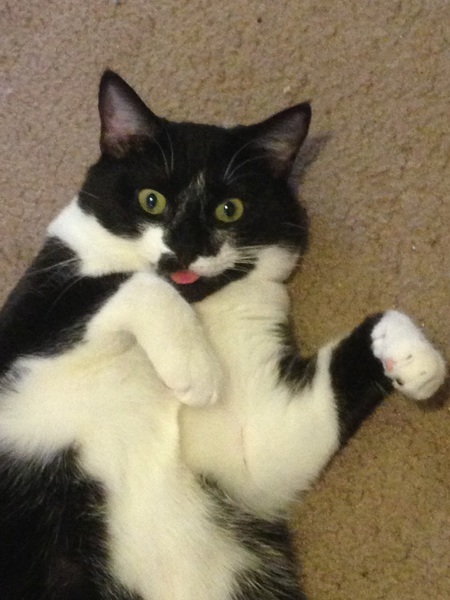Ben