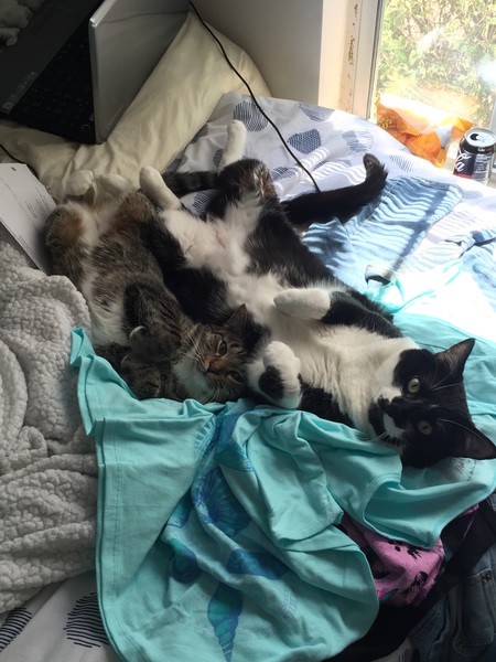 Ben and Bean