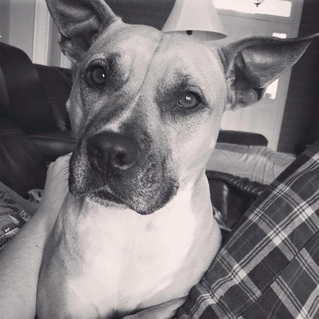 Nina