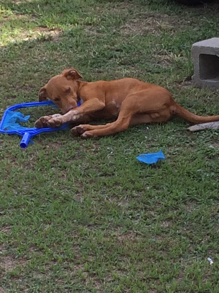Max