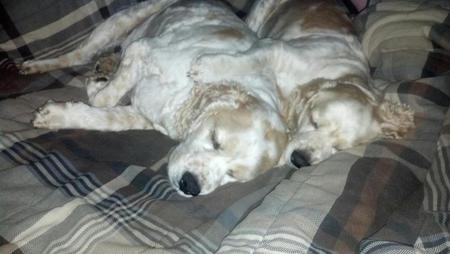 BJ(bobo) and Daisy(girl)