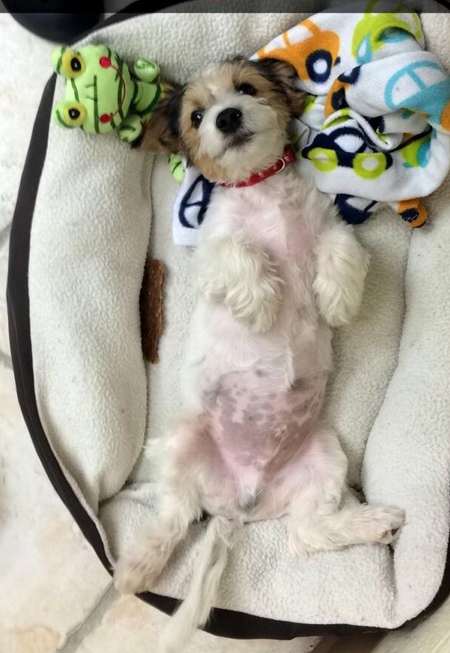 Jax