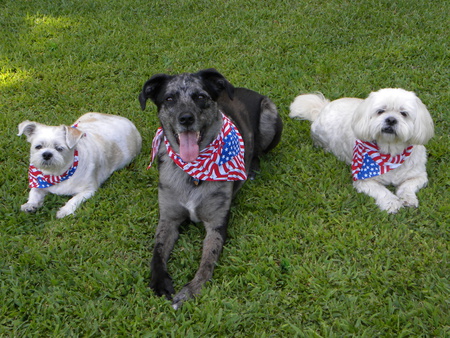 Dusty, Jessie and Casey