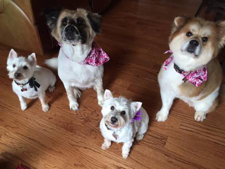 Alli, Marley, Austin, and Annie