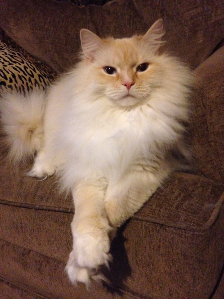 Sebastian 