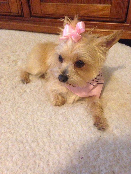 Daisy Mae