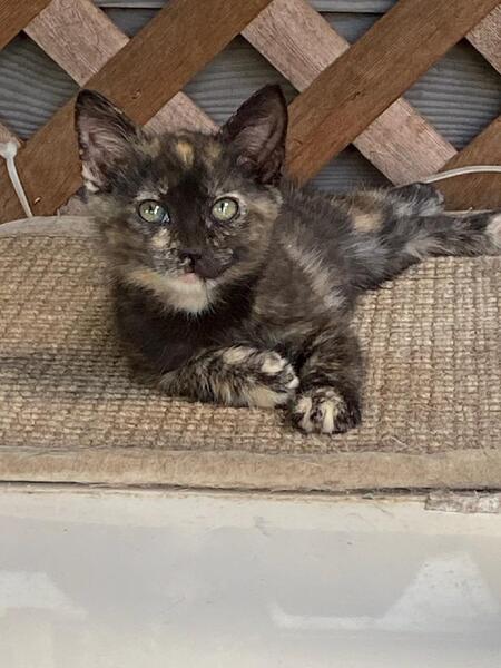 Fiona