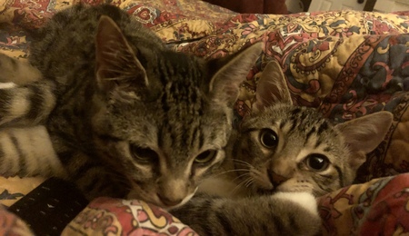 Arlo and Max 