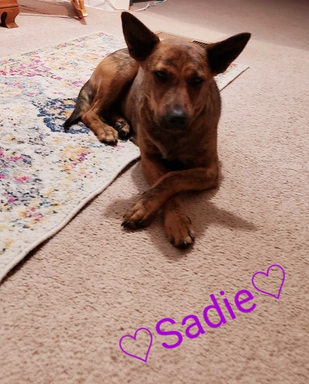 Sadie