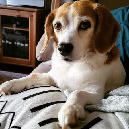 Emmy Lou