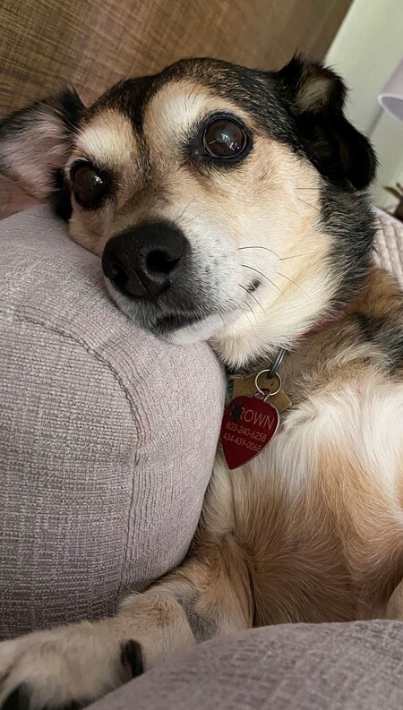 Sophie