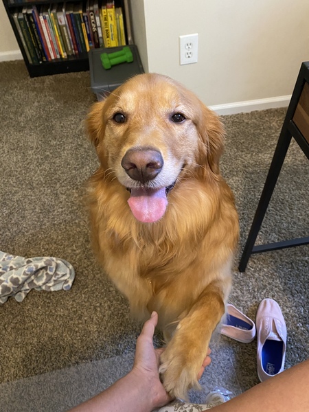 Bella