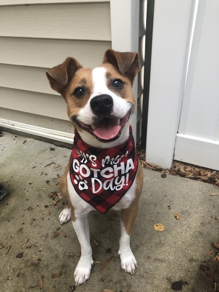 Max 
