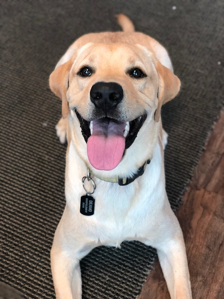 Deano
