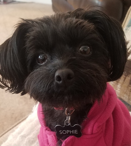 Sophie