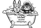 Little Barks Boutique