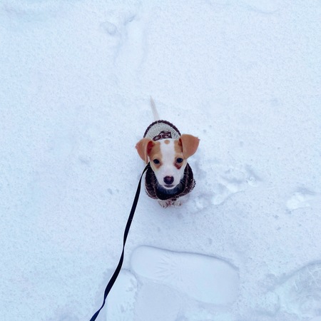 Tiny Tim